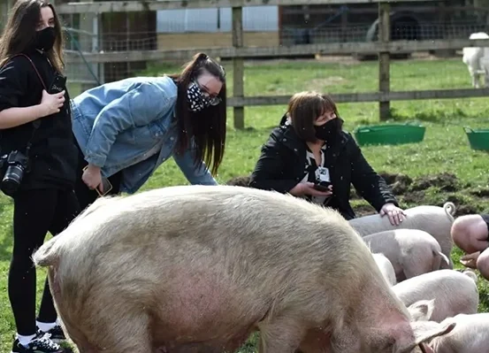 College one of just 16 to be awarded ‘transformative’ government funds